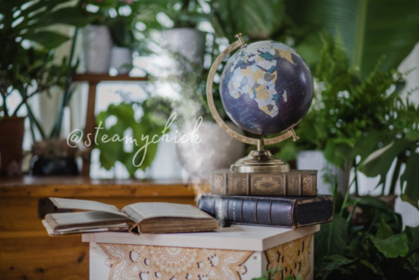 Steamy Chick Institute